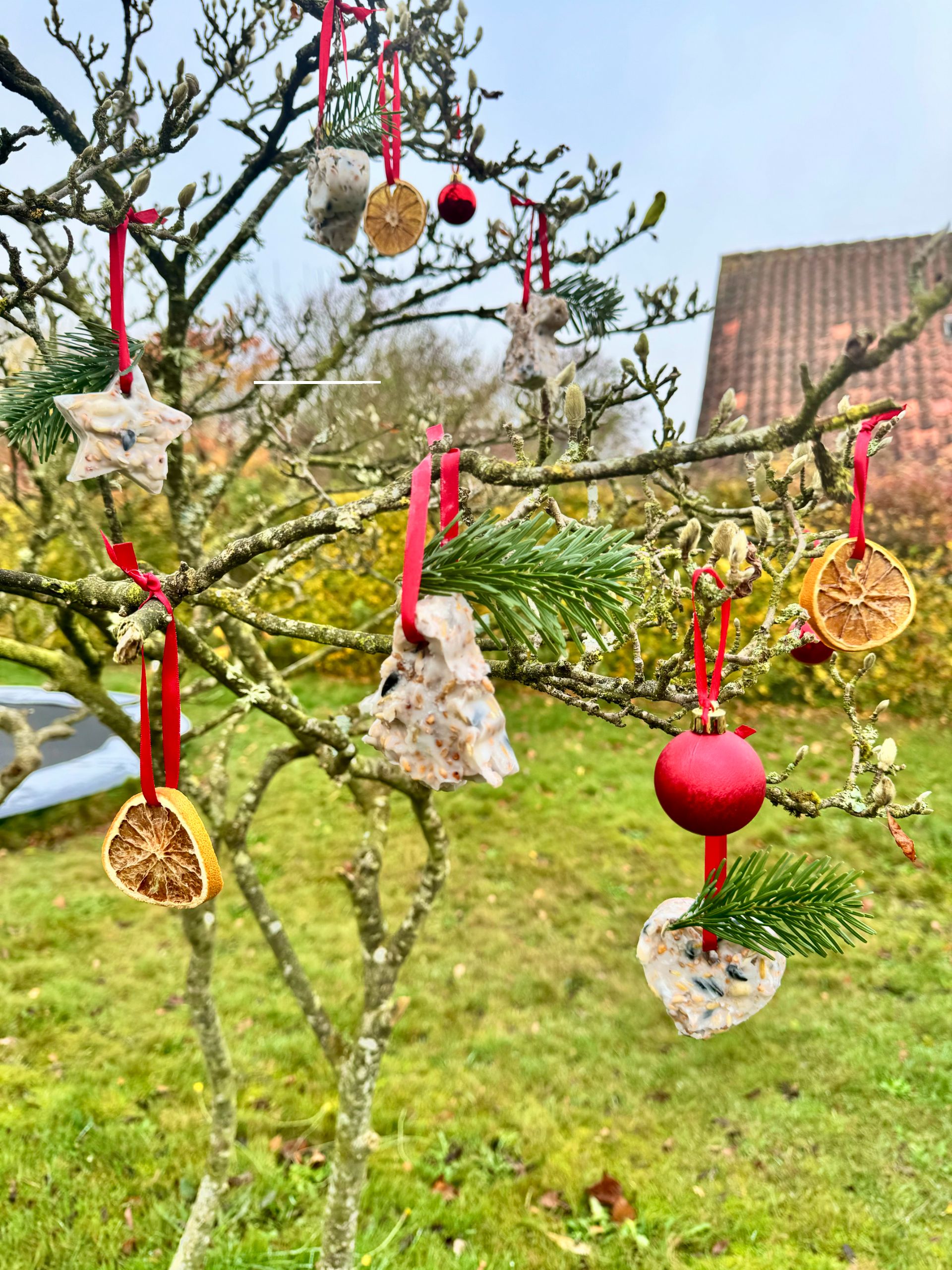 DIY Fugleophæng med Kageudstikkere Pynter smukt på træet