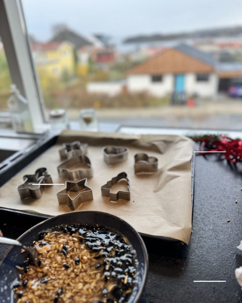 DIY Fugleophæng med Kageudstikkere, kokosolie smeltes og blandes med fuglefrø