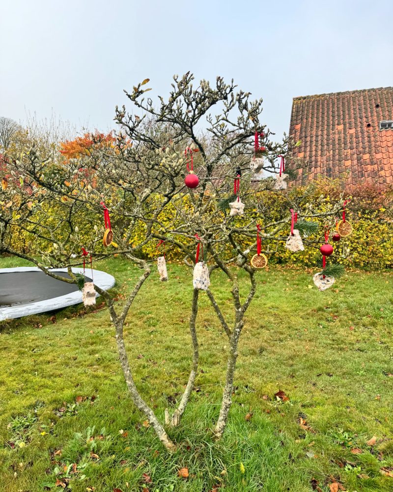 DIY Fugleophæng med Kageudstikkere pynter fint i haven